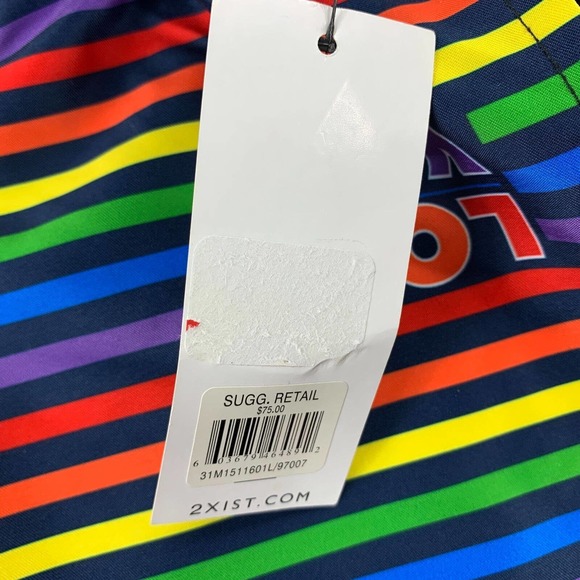 2(X)ist Mens Catalina 16" Pride Love Striped Rainbow Swim Trunks Multicolor L - Picture 2 of 4